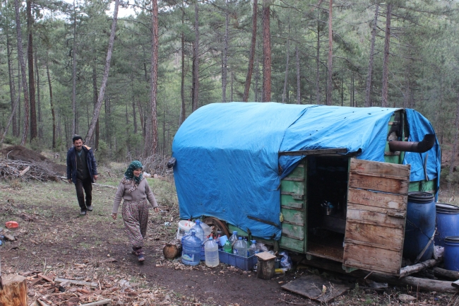 34 yıldır ormanda keçileriyle birlikte yaşıyorlar